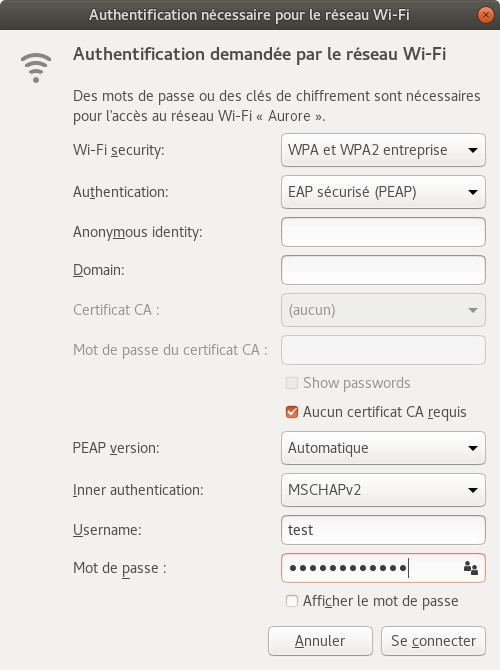 vue du menu NetworkManager avec les paramètres corrects